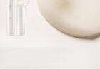 Moisture Lip Balm - 4g