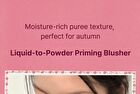 Blurry Puree Blush - 13 Colors - #R01 Fig Spread