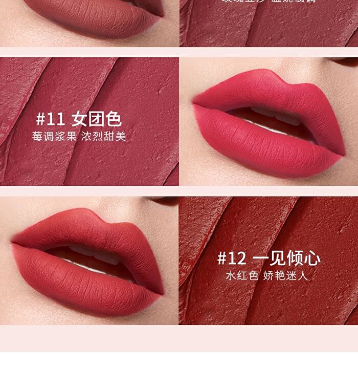 Velvet Matte Liquid Lipstick  - 12 Colors - 01# Smoky Rose - 3.5g