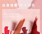 Velvet Matte Liquid Lipstick  - 12 Colors - 01# Smoky Rose - 3.5g