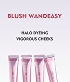 Pearlescent Liquid Blush Stick - 13 Colors - 01#  - 20ml
