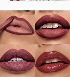 Matte & Pearlescent Liquid Lipstick Set - 6 Types - 01# David Austin - 23.5g
