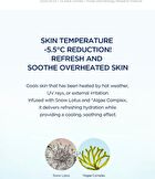 SKIN1004 Madagascar Centella Hyalu-Cica Jelly-Fit Ampoule Pad - 60 pads