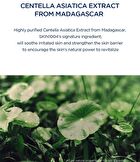 SKIN1004 Madagascar Centella Hyalu-Cica Jelly-Fit Ampoule Pad - 60 pads