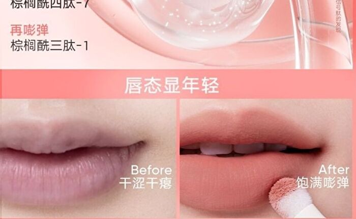 New Cushion Lip Powder Cream - 4 Colors - #N21 - 2.6ml