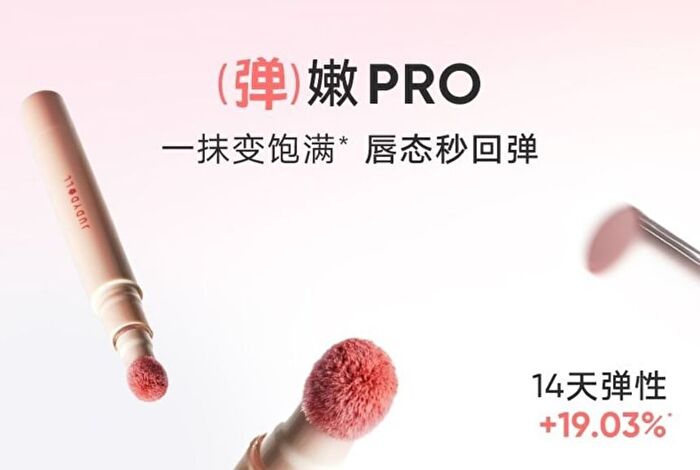New Cushion Lip Powder Cream - 4 Colors - #N24 - 2.6ml
