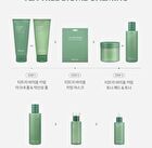 Tea Tree Biome Calming Sleeping Pack - 4ml x 20 pcs