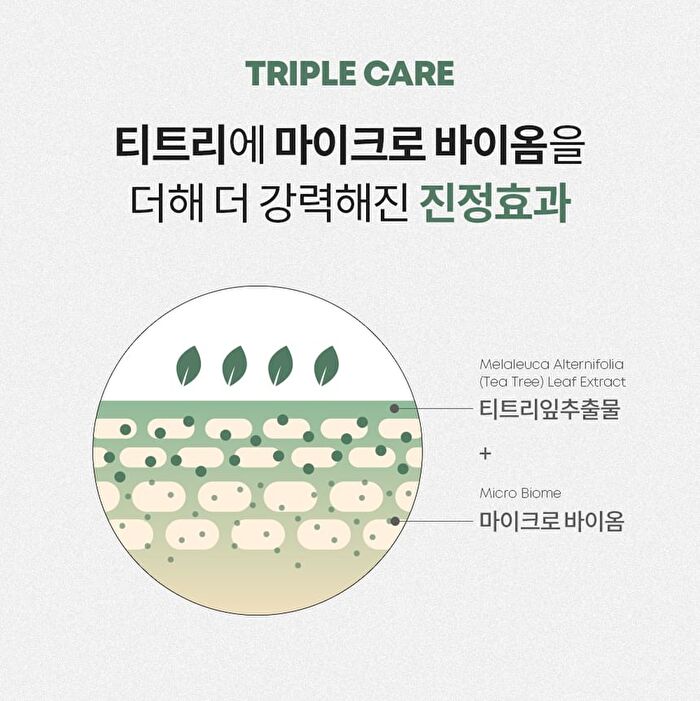Tea Tree Biome Calming Sleeping Pack - 4ml x 20 pcs