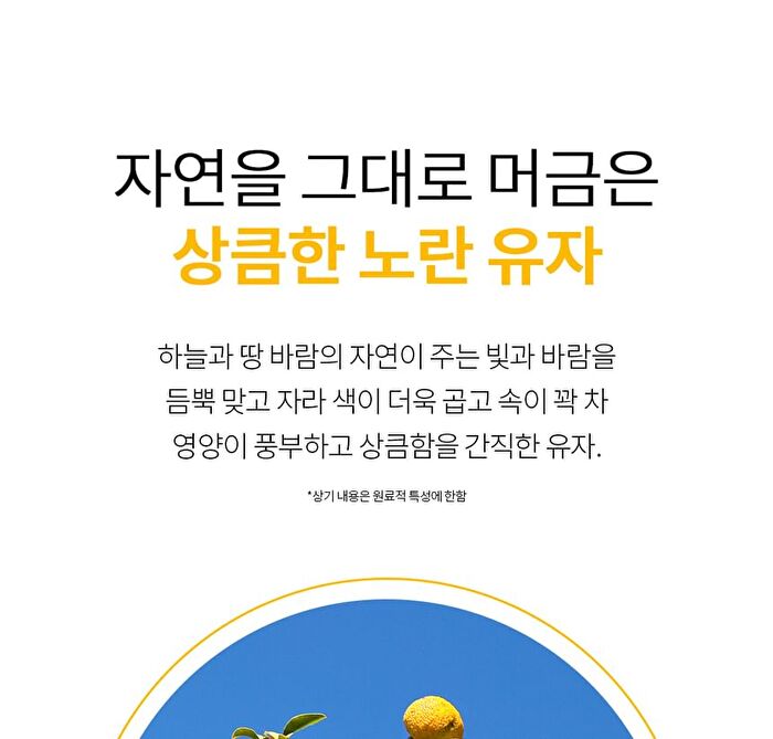 Citrus Yuja Vitalizing Foam Cleansing - 100ml