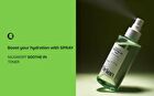 Mugwort Soothe In Toner - 160ml