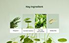 Mugwort Zero Film Cleansing Foam - 150ml