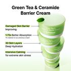 Green Tea & Ceramide Barrier Cream - 50g