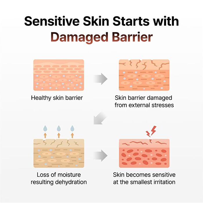 Green Tea & Ceramide Barrier Cream - 50g