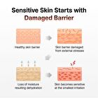 Green Tea & Ceramide Barrier Cream - 50g