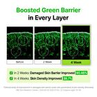 Green Tea & Ceramide Barrier Cream - 50g