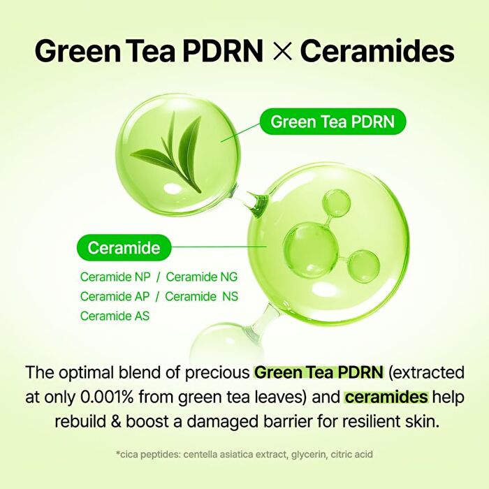 Green Tea & Ceramide Barrier Cream - 50g