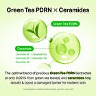 Green Tea & Ceramide Barrier Cream - 50g