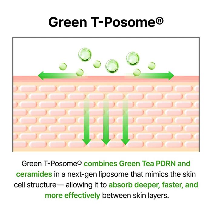 Green Tea & Ceramide Barrier Cream - 50g