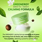 Green Tea & Ceramide Barrier Cream - 50g