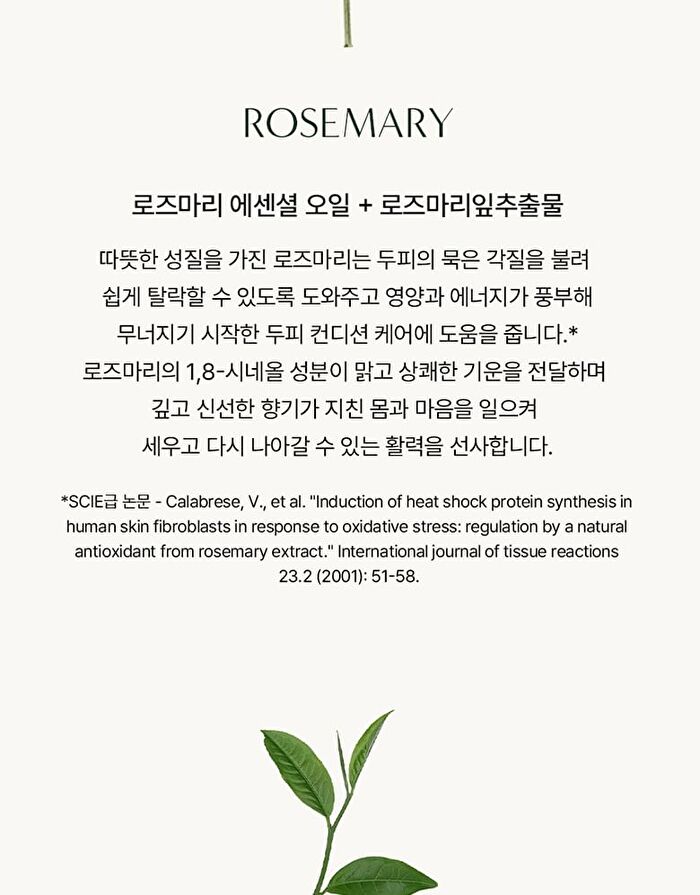 Aromatica Rosemary Root Volumizing Scalp Ampoule - 20ml