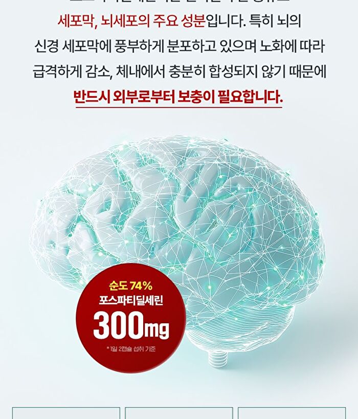 Memory Cognition Brain Phosphatidylserine Ginkgo Biloba Extract Vitamin E - 1000mg x 60 capsules