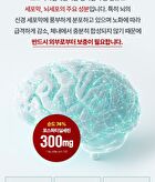Memory Cognition Brain Phosphatidylserine Ginkgo Biloba Extract Vitamin E - 1000mg x 60 capsules