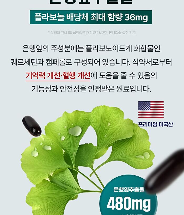 Memory Cognition Brain Phosphatidylserine Ginkgo Biloba Extract Vitamin E - 1000mg x 60 capsules