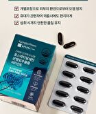 Memory Cognition Brain Phosphatidylserine Ginkgo Biloba Extract Vitamin E - 1000mg x 60 capsules