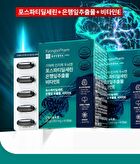 Memory Cognition Brain Phosphatidylserine Ginkgo Biloba Extract Vitamin E - 1000mg x 60 capsules