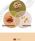 Water Soluble Curcumin Bioperine - 500mg x 90 tablets