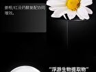 Purifying and Oil-Control Black Mud Mask - 5g