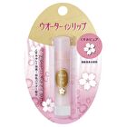 Water In Lip Dull Pure F Lip Balm - 3.5g