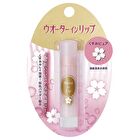 Water In Lip Dull Pure F Lip Balm - 3.5g