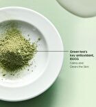 Phyto Brew Matcha Ampoule - 50ml