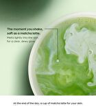 Phyto Brew Matcha Ampoule - 50ml