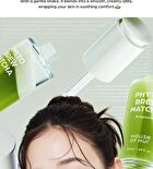 Phyto Brew Matcha Ampoule - 50ml