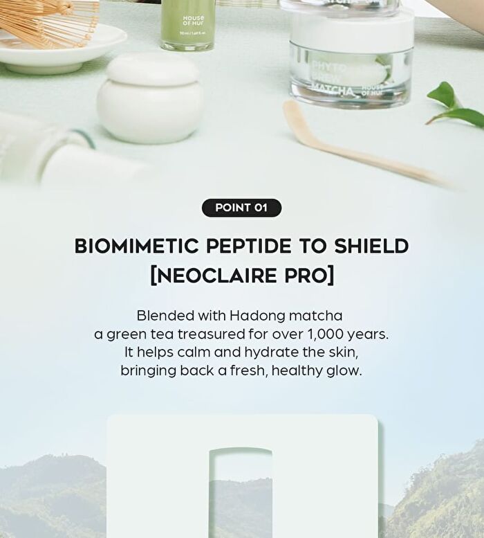 Phyto Brew Matcha Ampoule - 50ml