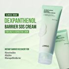 D-Panthenol Barrier Soothing Cream Brush Set - 2 pcs