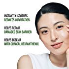 D-Panthenol Barrier Soothing Cream Brush Set - 2 pcs