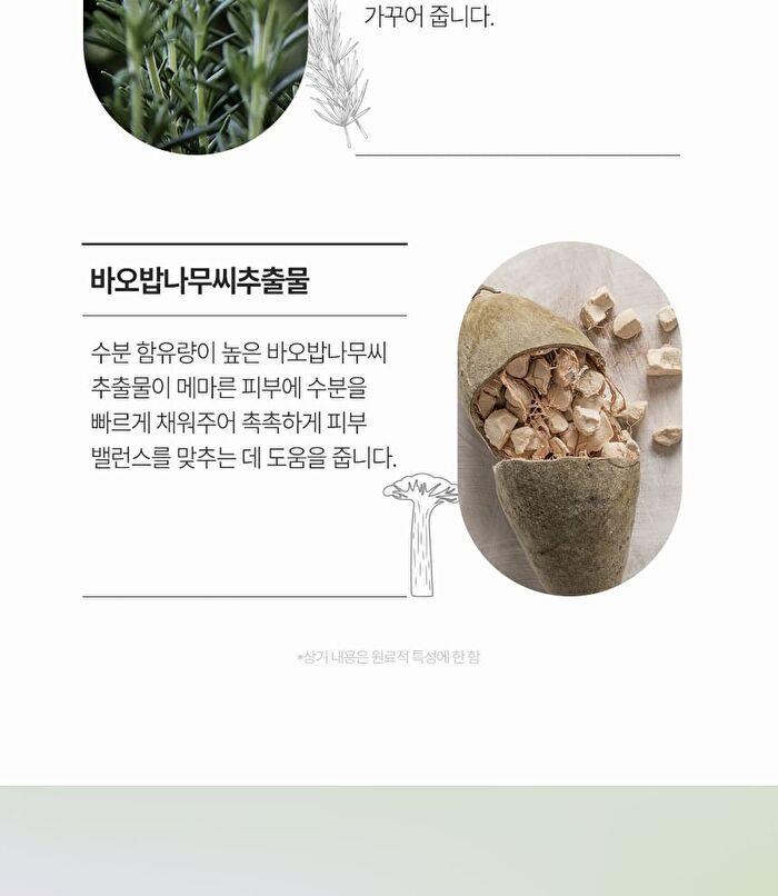 Daily Perfume Hand Cream - 5 Types - Musk
