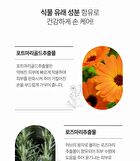 Daily Perfume Hand Cream - 5 Types - Woody