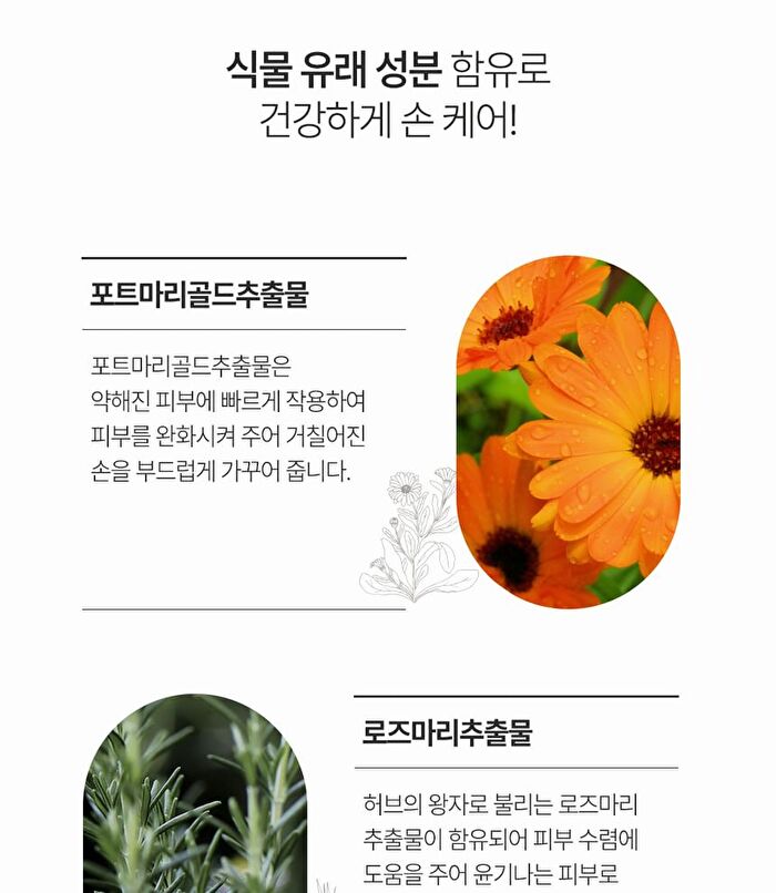 Daily Perfume Hand Cream - 5 Types - Floral