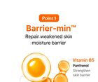 Vitamin Toning Barrier Cream - 60g