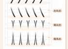 Light Feather Glue Free False Eyelash - 3 Types - 01# Little Deer Horn (9-12mm x 36 pcs)