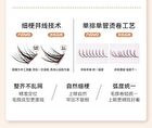 Light Feather Glue Free False Eyelash - 3 Types - 01# Little Deer Horn (9-12mm x 36 pcs)