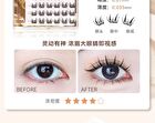 Light Feather Glue Free False Eyelash - 3 Types - 01# Little Deer Horn (9-12mm x 36 pcs)