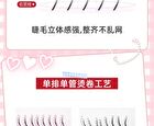 Light and Flexible Glue-Free False Eyelashes - 3 Types - 01# Foxy (8-13mm x 36 pcs)