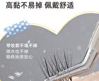 Light and Flexible Glue-Free False Eyelashes - 3 Types - 01# Foxy (8-13mm x 36 pcs)