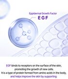 EGF Peprink Eye Cream - 15ml