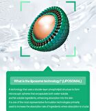 PDRN Liposomal 14 Ampoule - 50ml
